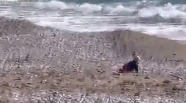 cine salveaza un bebelus mult prea dornic sa si ude pampers ul in valurile marii video