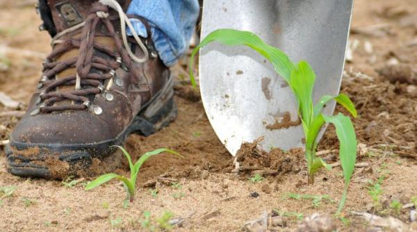 descoperirea uluitoare care rescrie istoria vietii pe pamant ce a gasit un biochimist dupa ce a analizat solul video