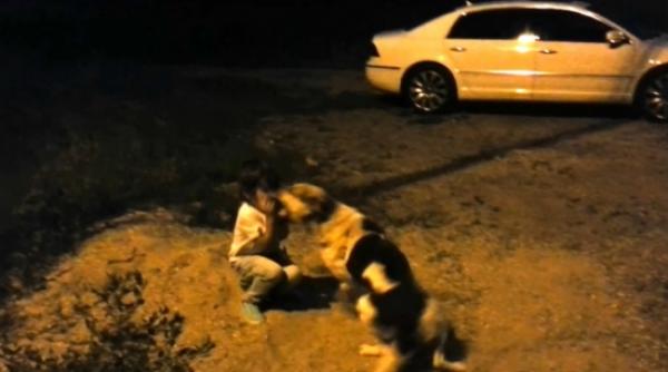 fiul lui calin geambasu atacat de un maidanez scena a fost filmata de cantaret