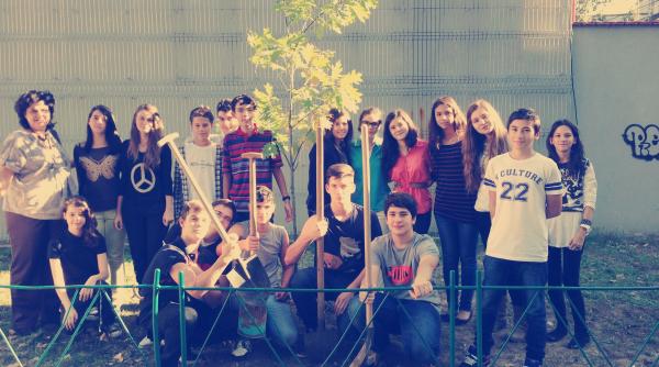 planteaza un copac pentru pace