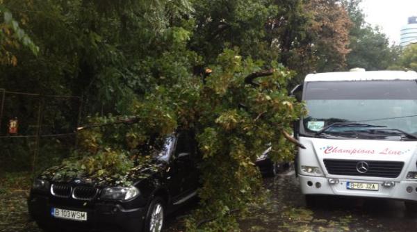 ploaia face prapad in capitala mai multe drumuri sunt blocate din cauza copacilor cazuti