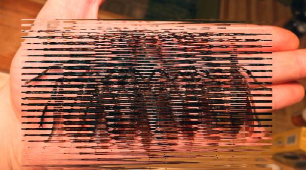 o viepse uriasa a ucis zeci de oameni in china foto