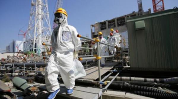 alerta nucleara la fukushima apa radioactiva se scurge in oceanul pacific