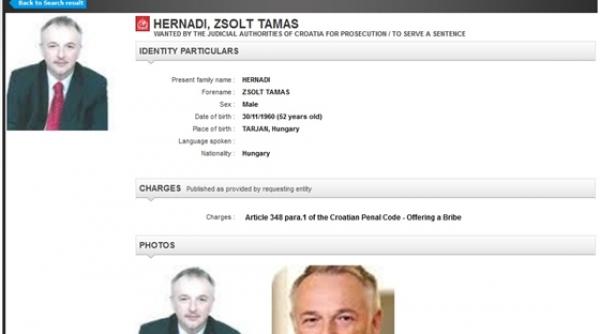 mandat de arestare de la interpol pentru directorul companiei mol budapesta contraataca