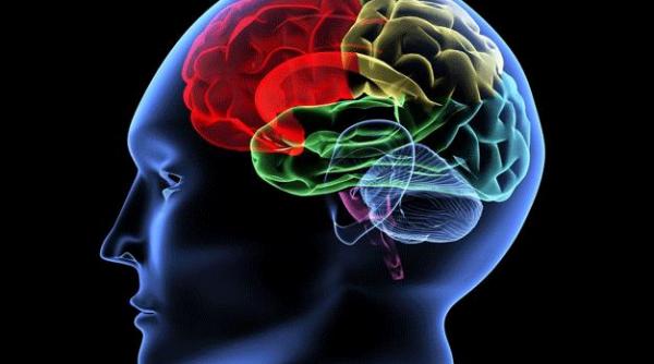 cercetatorii japonezi au descoperit butonul de resetare a ceasului intern