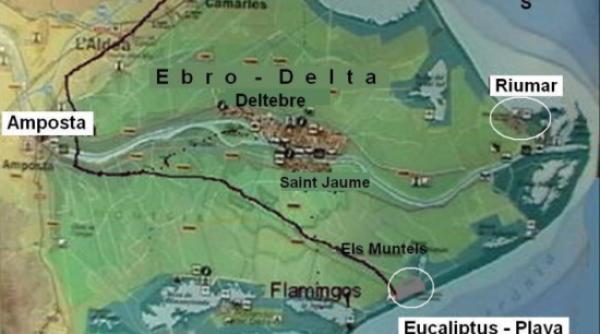 o situatie asemanatoare celei din galati a ingrozit spania 300 de cutremure in 30 de zile