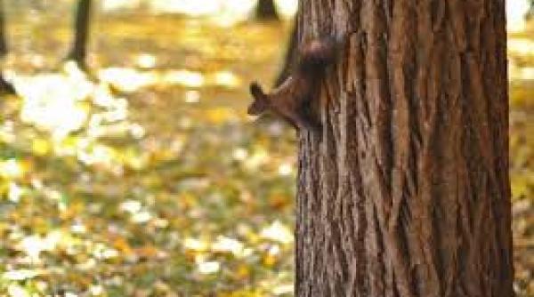 se intoarce caldura vezi prognoza meteo pentru urmatoarele zile