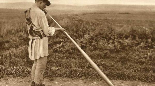 semne ale timpului la inceput de brumarel