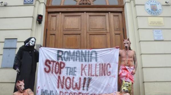 protest inedit la adresa eutanasierii maidanezilor din romania
