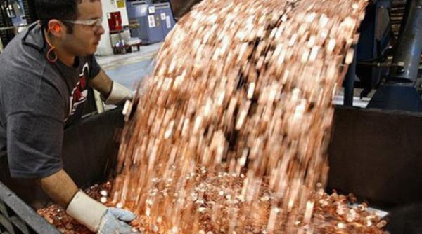 razbunarea unui femei din targu mures amendata cu 1 500 de lei autoritatile au fost uimite de gestul ei