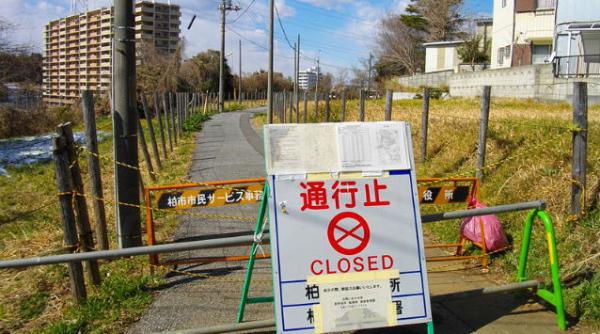 guvernul japonez va lansa o licitatie internationala privind centrala de la fukushima