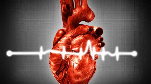 noua metoda de reparare a valvelor cardiace fara deschiderea inimii si intreruperea circulatiei sangelui