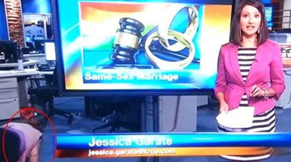 moment penibil in televiziune petrecut in transmisiune directa video