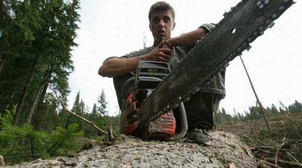 un barbat care a fost dat afara din restaurant s a intors cu o drujba in local ce a urmat apoi e incredibil