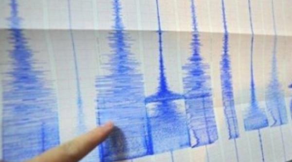un nou cutermur in vrancea seismul a avut o magnitudine de 3 6 pe scara richter