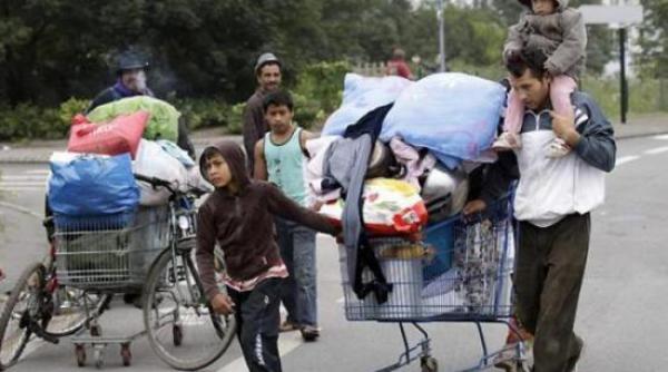 romii trag spre whisky ul scotian