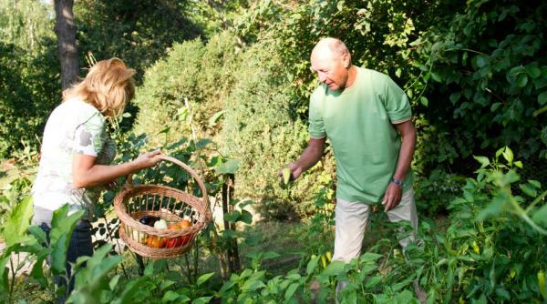 basescu un mic horticultor presedintele se lauda pe facebook cu gradina sa de legume