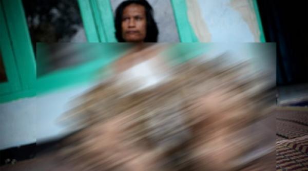 s a zgariat intr o creanga iar acum se transforma intr un copac foto