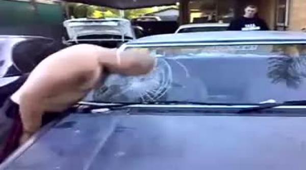 video capul plecat parbrizul vrea sa l sparga