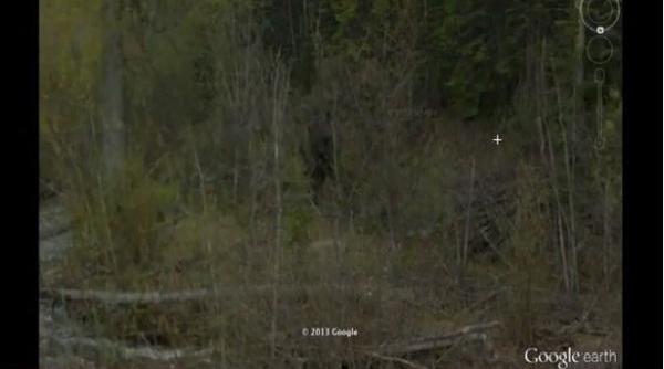 creatura legendara surprinsa pe google earth v am spus ca exista este o dovada limpede ca lumina zilei video