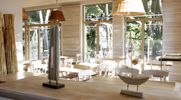 povestile ancorei istoria somonului ingropat in nisip