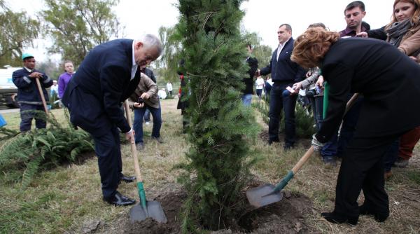 capitala creste verde sorin oprescu si rovana plumb au plantat copaci in parcul tineretului