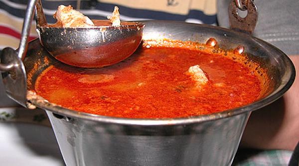 retata zilei bors de crap