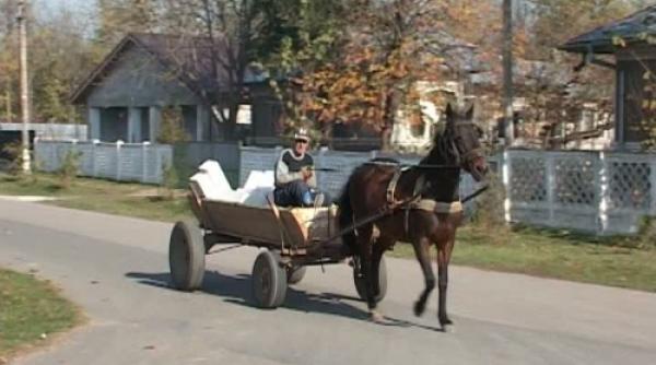 descopera un sat inedit localnicii se cunosc doar dupa poreclele haioase video