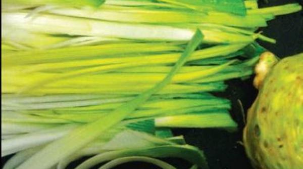 beneficiile nebanuite ale prazului