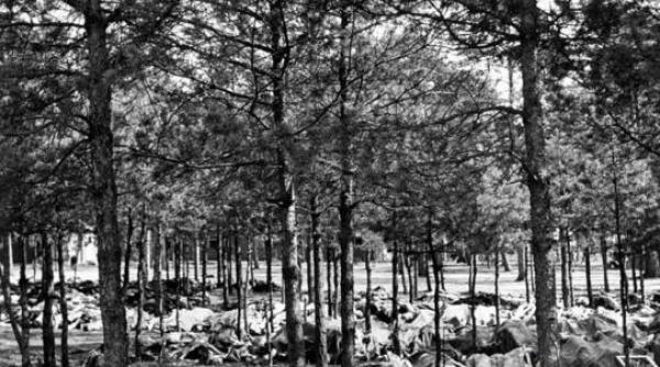 imagini cutremuratoare care au adus blestemul asupra celei mai puternice tari din europa