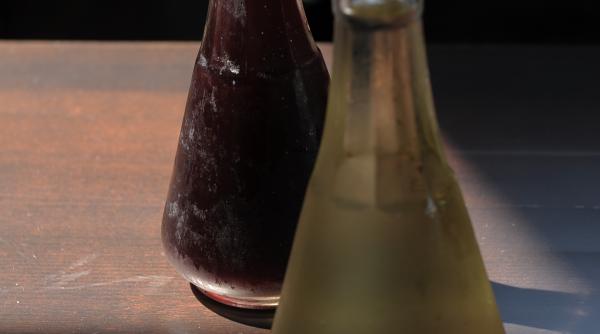 sarbatoarea vinului nou in fata la ateneul roman