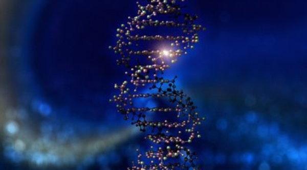 propunere in belgia prelevare de adn de la toti nou nascutii
