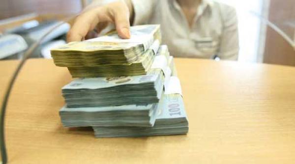 senatul va verifica activitatea cec dupa scandalul creditului obtinut de ioana basescu