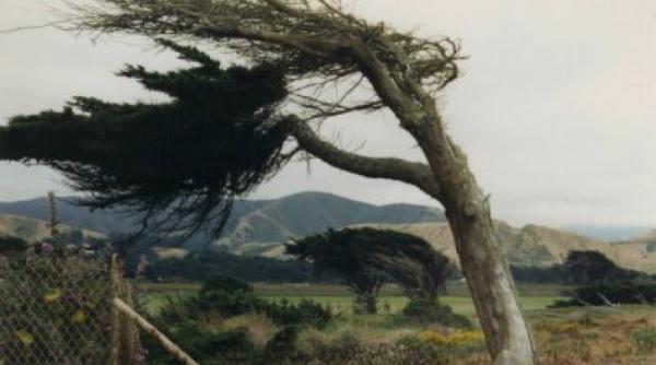 atentionare meteo de vant puternic ce regiuni sunt afectate