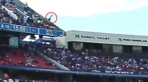 momentul cand un barbat din sua cade de la ultimul nivel al unui stadion peste un spectator