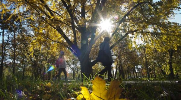 vremea se incalzeste in capitala in urmatoarea perioada vezi prognoza meteo pentru urmatoarele trei zile