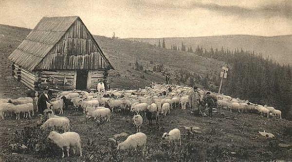 ovidenia sarbatoarea luminii ce sparge intunericul iernii