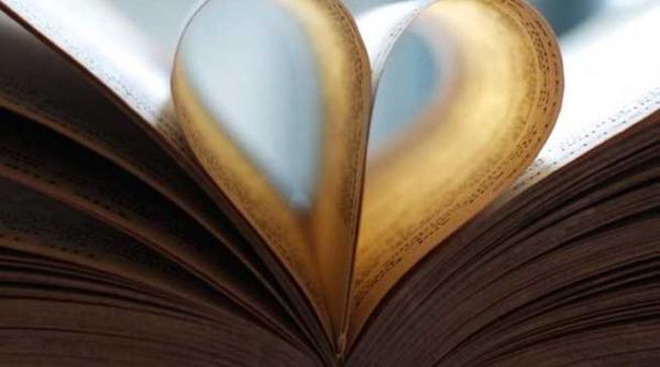 ce facem in weekend 23 24 noiembrie 2013