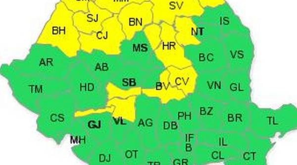 cod galben de ninsori in maramures nordul crisanei si al moldovei si local in transilvania