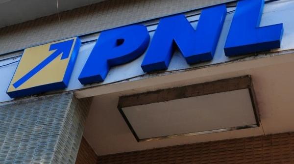 pnl a aprobat infiintarea comisiei parlamentare in cazul mosiei lui basescu de la nana