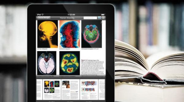 intel face software educational la cluj