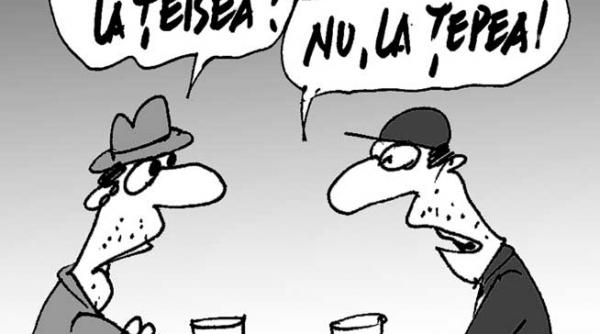 caricatura zilei 29 noiembrie 2013