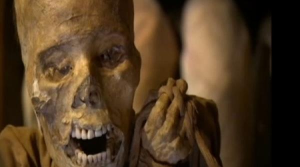 descoperire uluitoare in padurea amazoniana zona a fost inchisa imediat video