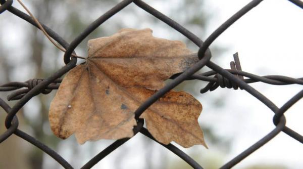 cum va fi vremea la inceput de saptamana in capitala vezi prognoza meteo pe trei zile