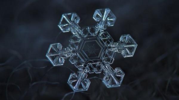 cei mai frumosi fulgi de nea imaginile superbe surprinse de fotografi galerie foto