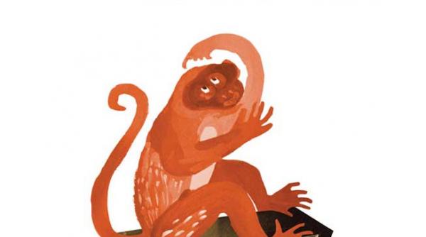 lectura cu maimuta carpatina