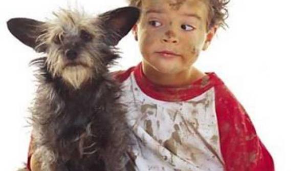 cainii protejeaza copiii in lupta cu alergiile