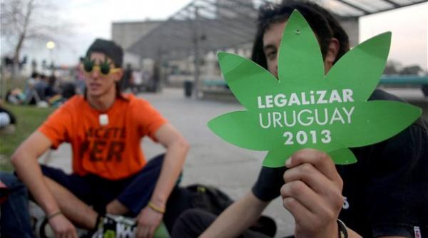 canabisul legalizat in uruguai prima ara din lume care ia o asemenea decizie
