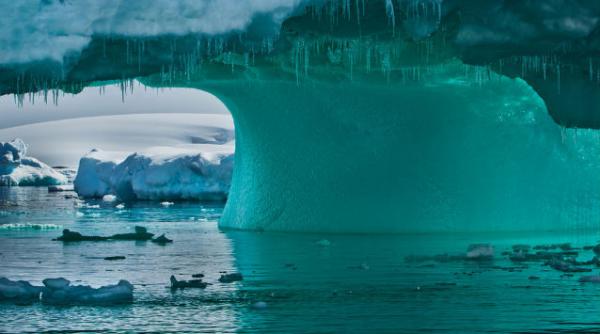 lac ingropat sub calota glaciara din antarctica populat de organisme unicelulare