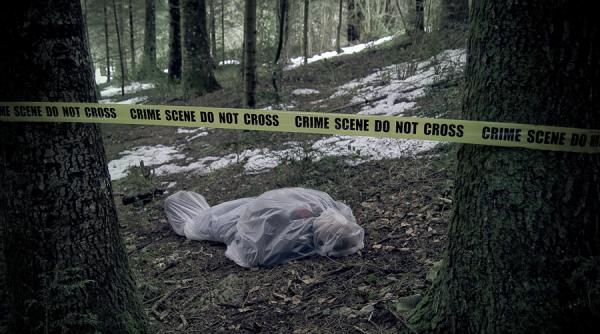 tara mea de crime tara de omor